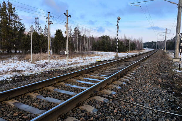 Движение по одному пути в Тульской области восстановили после схода вагонов