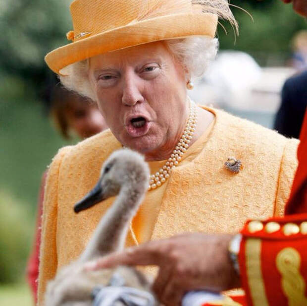 В Сети лицо Трампа "пересадили" британской королеве новости, Трамп, королева, Photoshop, длиннопост, политика