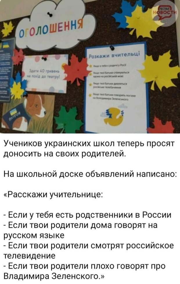 Украина пытается подражать Европе. В школах вывесили призывы доносить на своих родителей