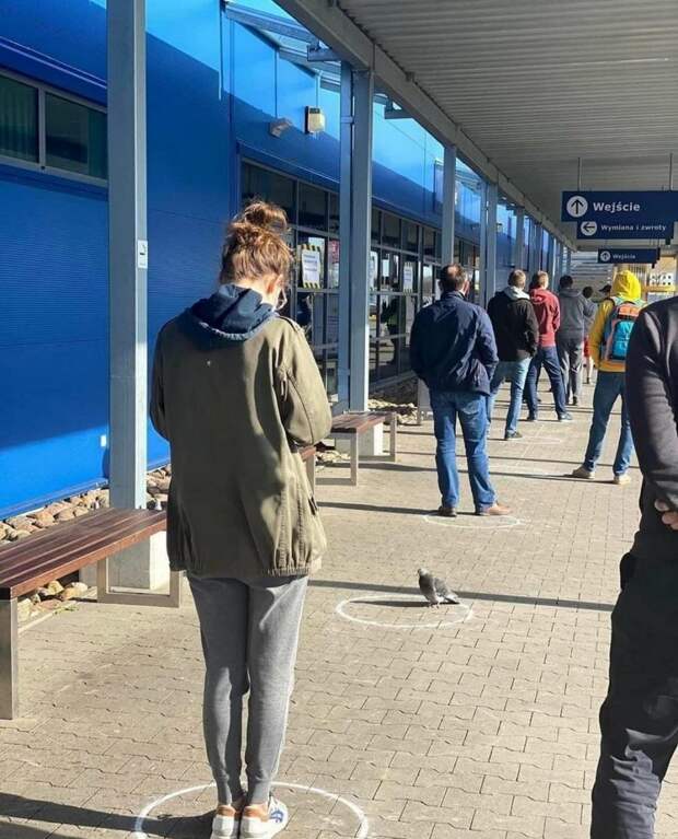 kartinok-interesnyh-prikolnyh-kartinki-smeshnye-kartinki-fotoprikoly
