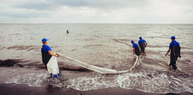 Об артемии, экологии и кадрах. Интересные факты об алтайской компании «Арсал» к её юбилею