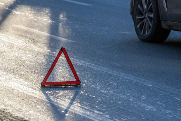 Кот-путешественник спровоцировал серьезное ДТП