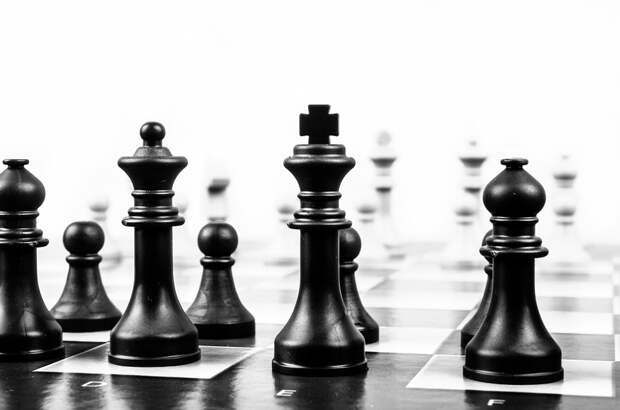 Жители Северного сразятся в интеллектуальной битве Фото с сайта pixabay.com