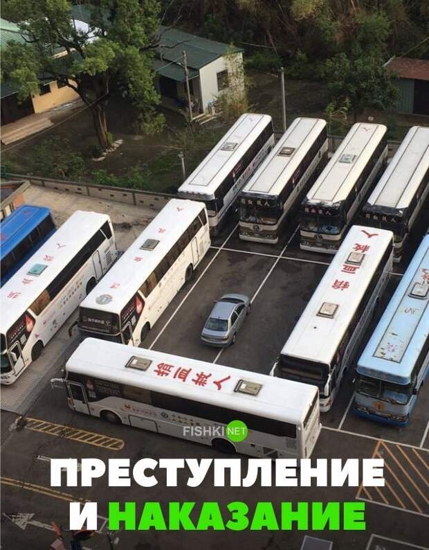 Картинки с надписями для настроения Картинки с надписями для настроения картинки с подписями, подборка, позитив, юмор