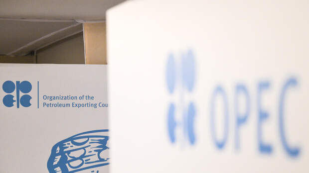 Россия с уважением относится к решению ОАЭ выйти из ОПЕК и ОПЕК+