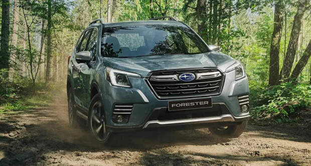 В России переписали цены на Subaru Forester: некоторые модели подешевели, некоторые подорожали