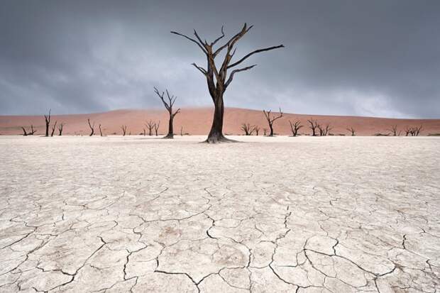 Deadvlei, что означает мёртвое болото. Оно окружено самыми высокими дюнами в мире. Снимок сделан в Намибии. Автор: Marsel van Oosten.