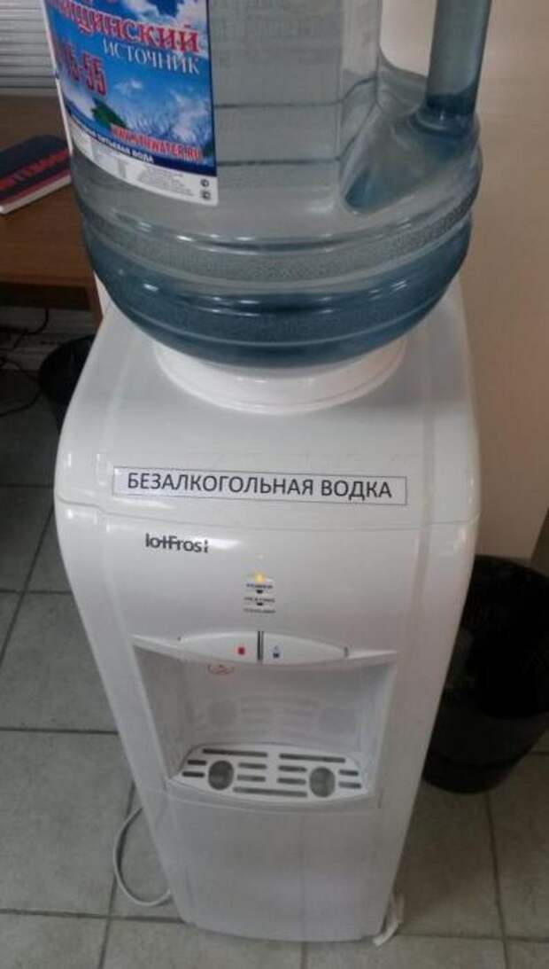 Они просто устроились на работу в офис и вот что произошло 