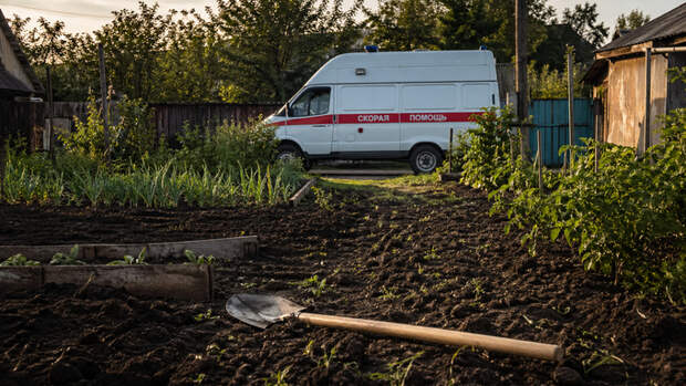 Согнулся и уже не разогнулся. Как работать в огороде, чтобы не угодить в больницу