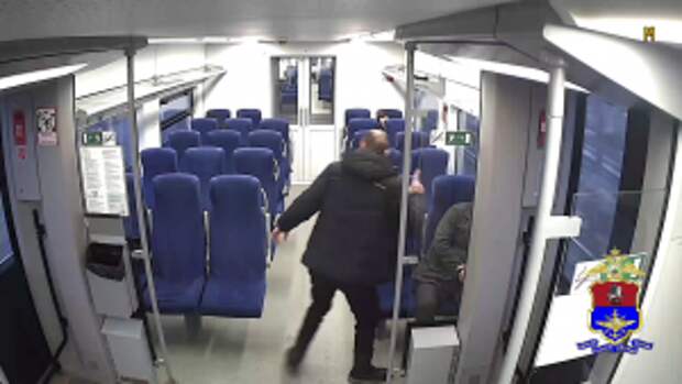 Транспортная полиция раскрыла серию краж гаджетов у спящих пассажиров столичных электричек