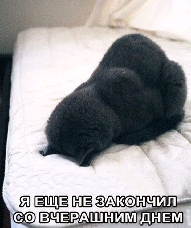 Подборка веселых картинок с надписями про уходящие праздники (10 фото)