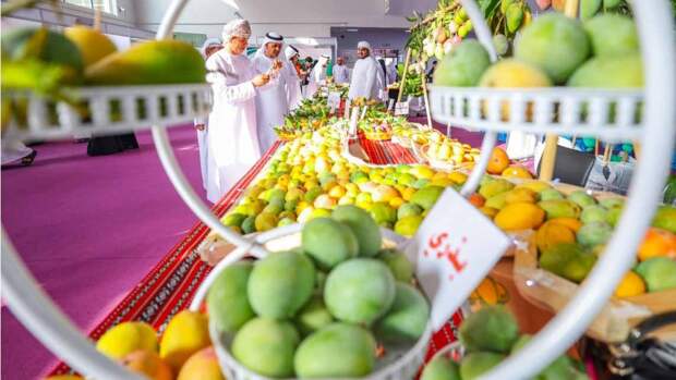 В Шардже пройдет Фестиваль манго