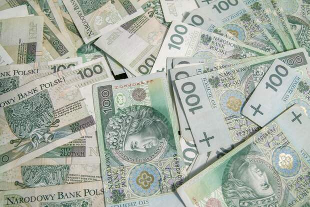 Украинка выманила у польского пенсионера 1 млн злотых, ее задержали с поличным