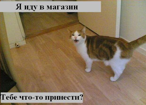 Мысли2 :) (50мыслей)