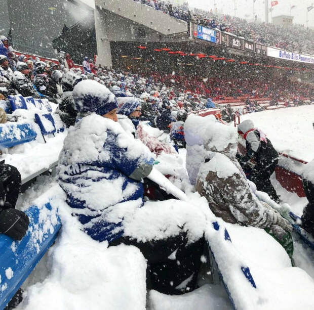 Преданные болельщики под снегом. | Фото: Reddit.