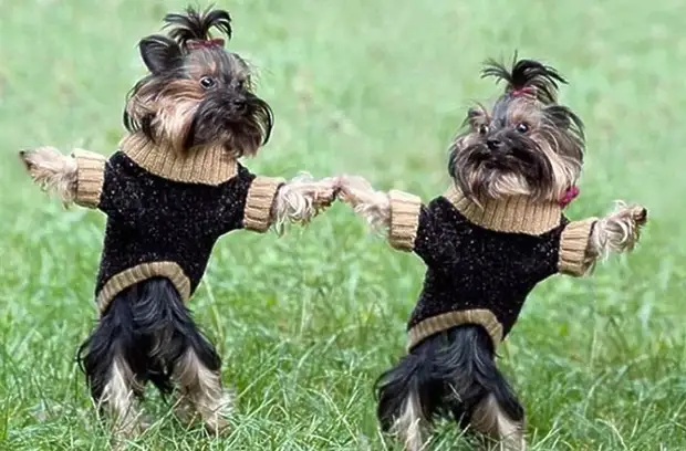 � �������� �� ����� ���