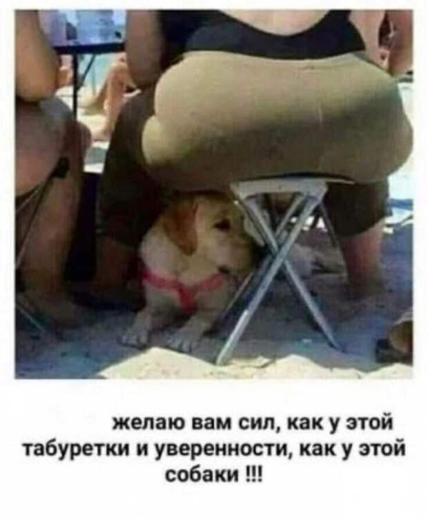 Всяческие картинки