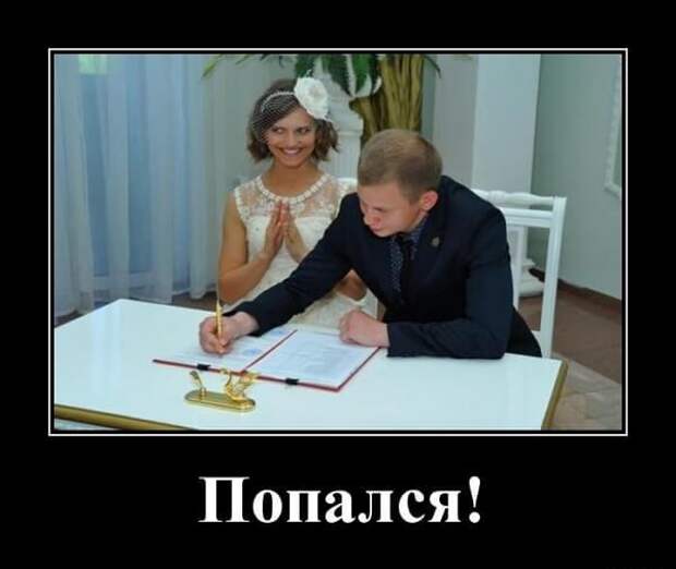 Пресса ТВ демотиваторы