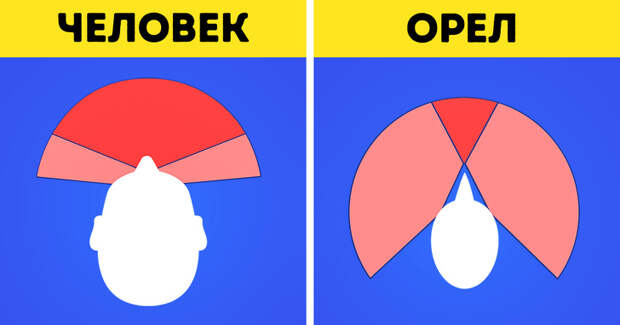 15 неожиданных фактов о нашем мире, которые вы никогда не слышали