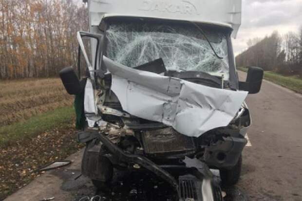 В Мордовском районе "ГАЗель" врезался в "КамАЗ"