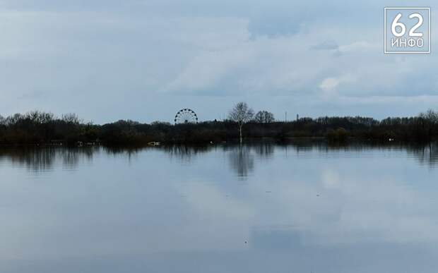 Уровень воды в Оке у Рязани начал снижаться
