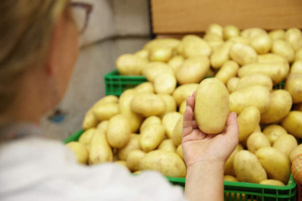 Врач Королева: зеленый картофель может спровоцировать отравление