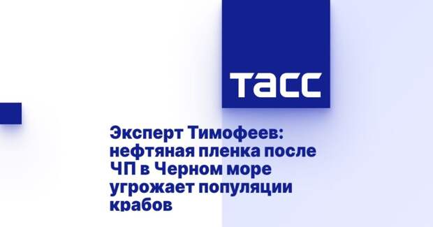 Эксперт Тимофеев: нефтяная пленка после ЧП в Черном море угрожает популяции крабов