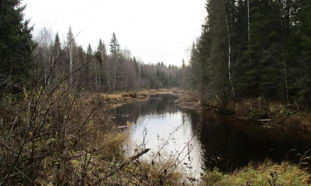 Три биологических заказника в Поморье отмечают 50-летие со дня создания