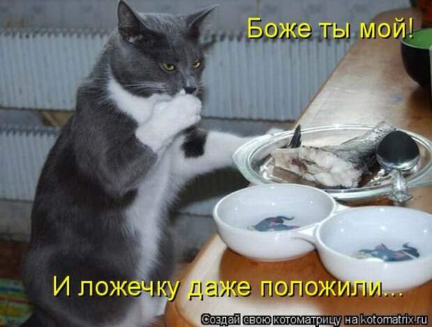 Котоматрица :)