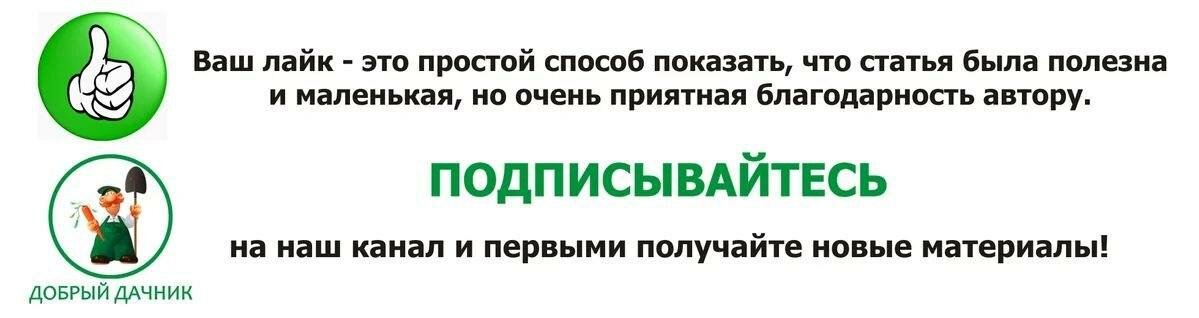 Ранние сорта сладкого и сочного редиса - сею в конце февраля и всю весну ем свежие салаты