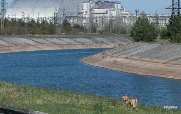 П
