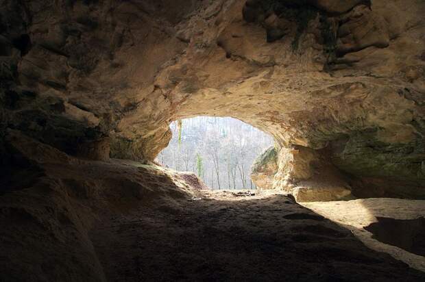 В Денисовой пещере обитали сразу три вида людей