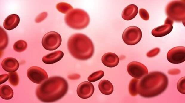 Классификация, дифференциальная диагностика злокачественных заболеваний крови