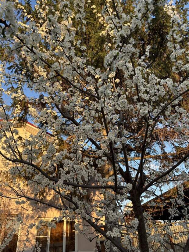 Неделя на Кубани стартует с солнца: что принесёт антициклон