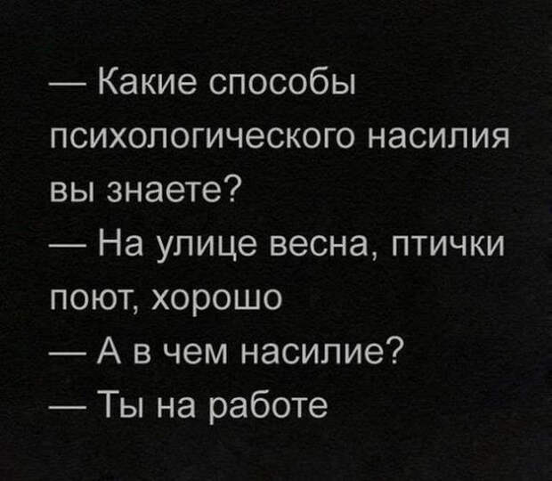 Юмористы из социальных сетей работают без выходных