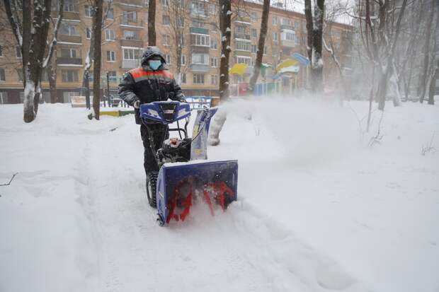 Фото: Артур Новосильцев