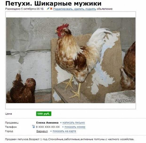 Странные объявления (25 фото)