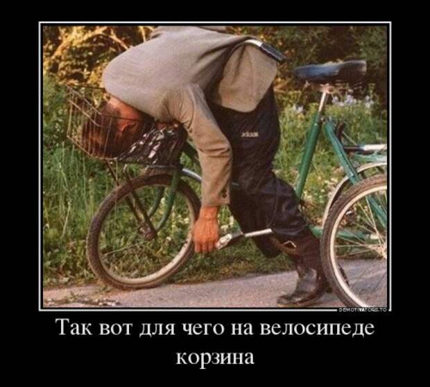 Свежая порция демотиваторов (12 шт)