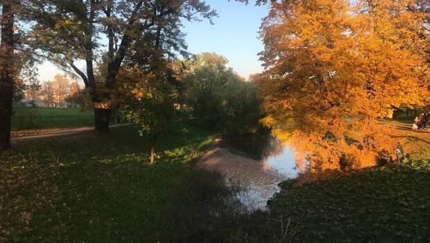 В Петербурге сегодня — пасмурно и холодно