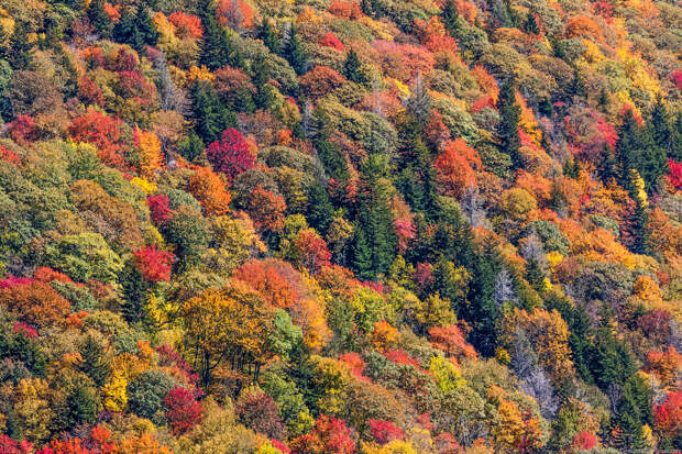 Blue Ridge Parkway