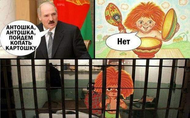 Прикольные картинки