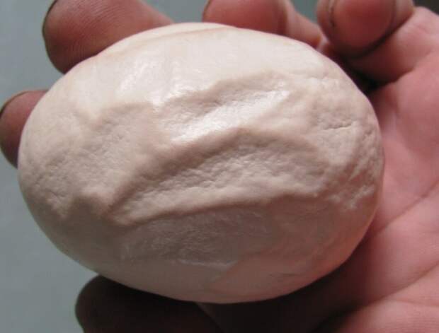 Некоторые яйца из-за болезней или дефектов могут быть с мягкой скорлупой. В таком случае птенцы в нём вряд ли выживут. 
