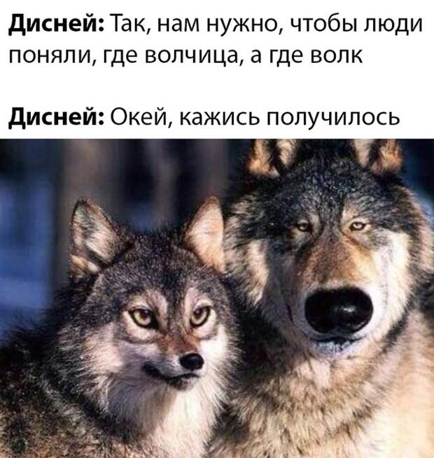 Коротко о том, как снимали "Альфа и Омегу": Коротко о том, как снимали "Альфа и Омегу":