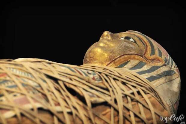 10 фактов о древнеегипетских мумиях: мумификация. CC0