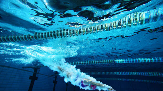 European Aquatics потребовала отсрочить допуск россиян с национальной символикой