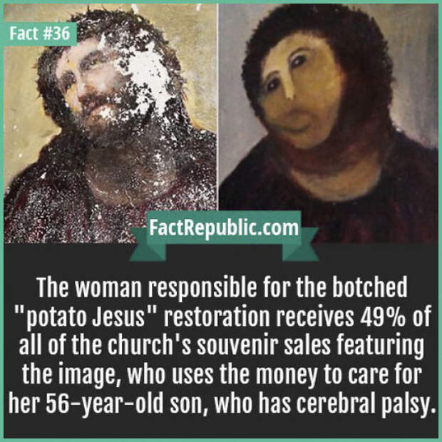 Everyday Life Facts
