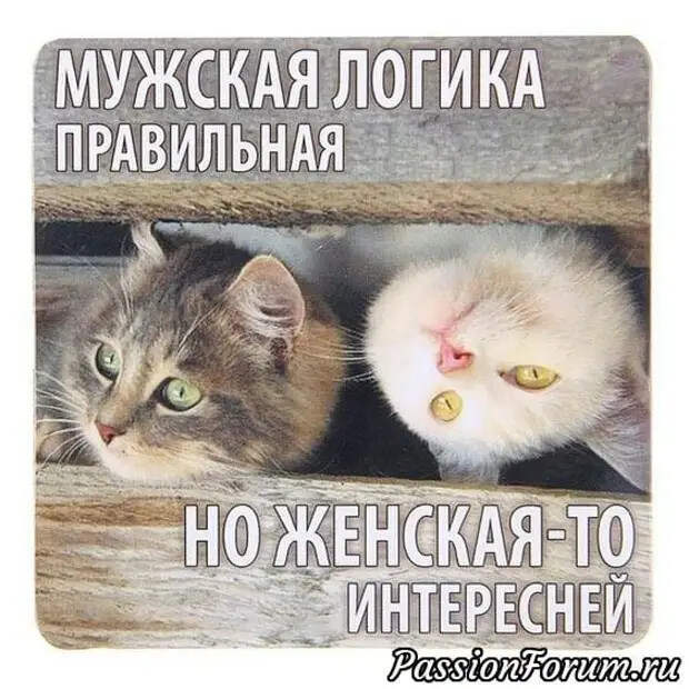 Внутри меня столько тепла и нежности, что хочется её кому-то дарить...