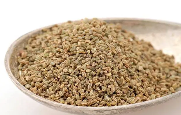 семена сельдерея семена сельдерея