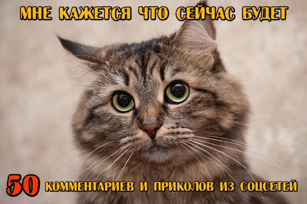Смешные комментарии из социальных сетей 30.03.2018 Смешные комментарии из социальных сетей 30.03.2018