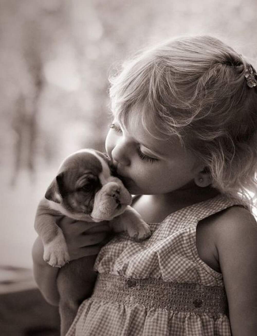 Любовь детей и животных